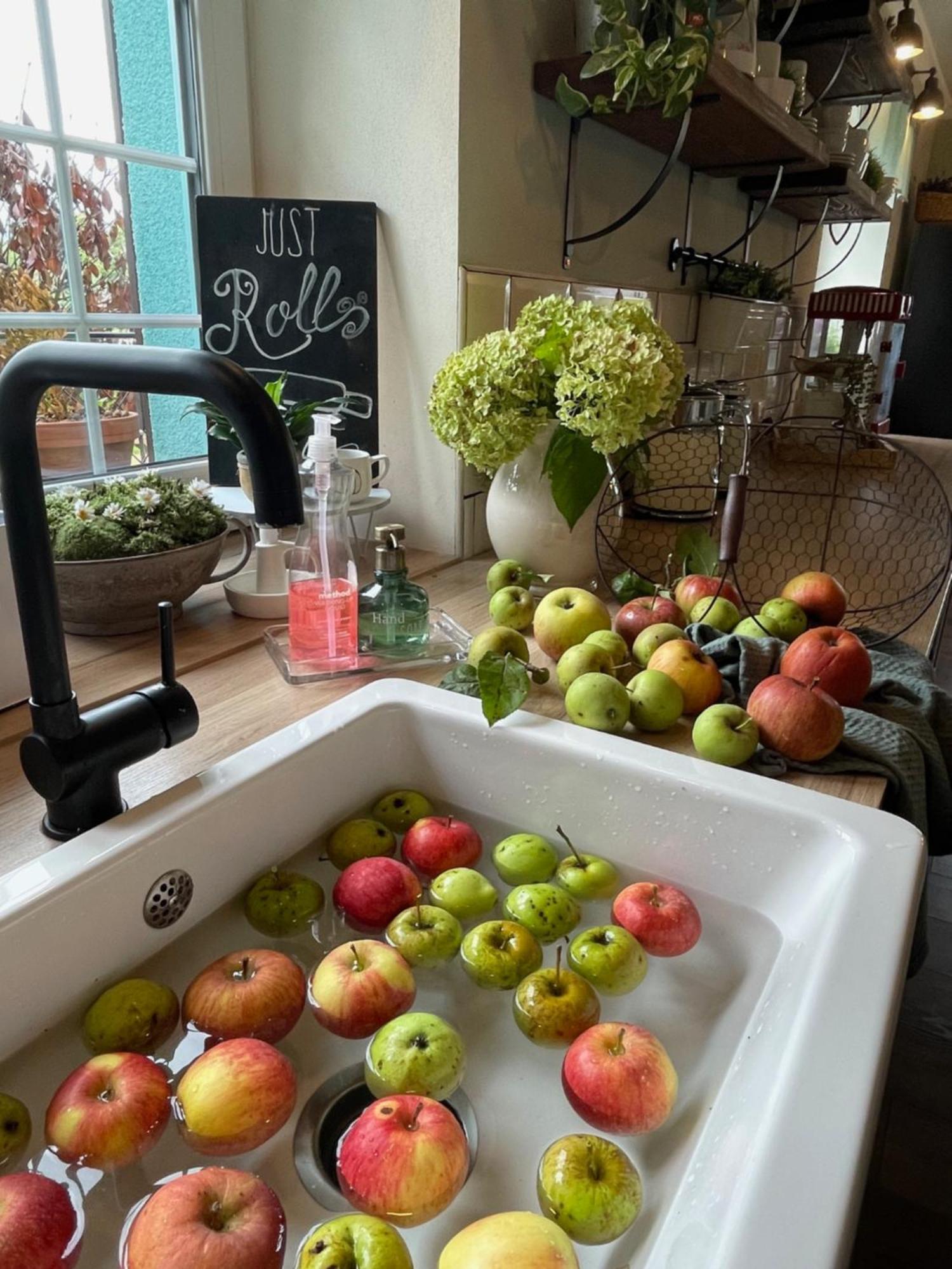 Orchardhouse Farmhouse, Wellness Chrast  Exteriér fotografie