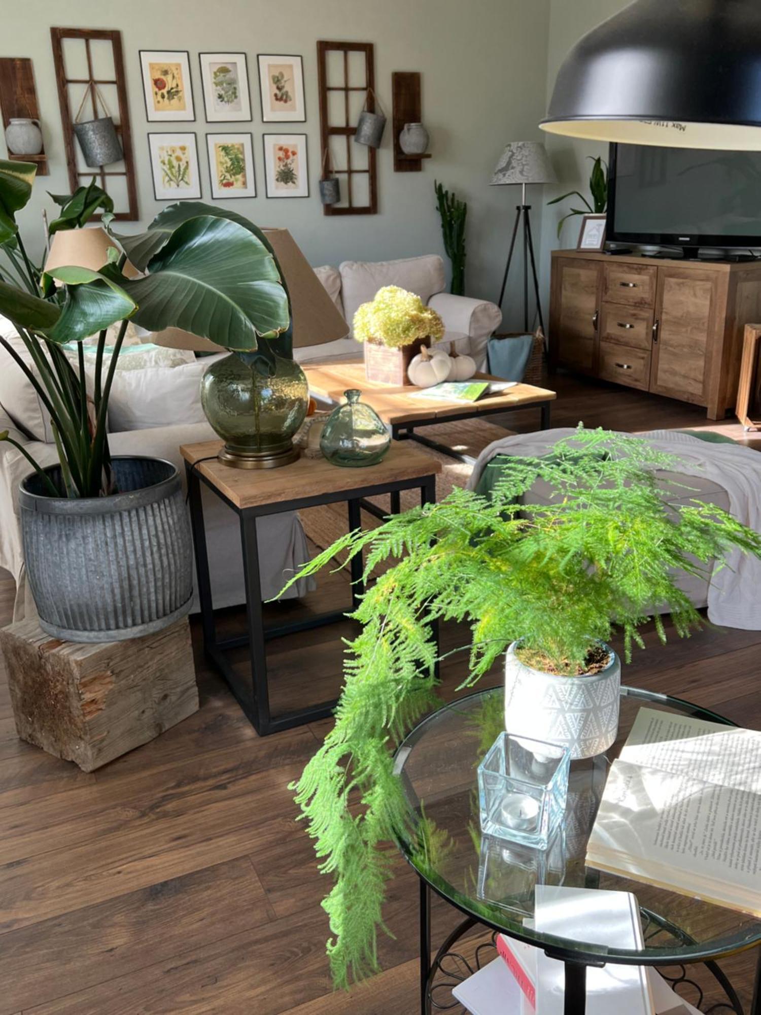 Orchardhouse Farmhouse, Wellness Chrast  Exteriér fotografie